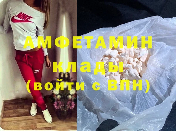 прущие грибы Покачи